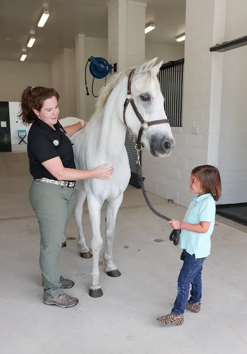 Foundation Equine Clinic 6