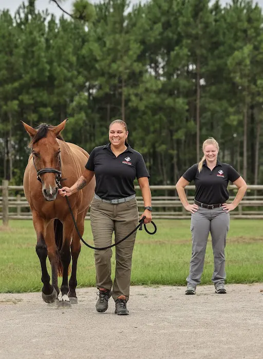 Foundation Equine Clinic 8