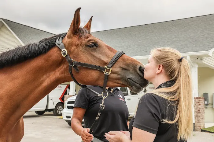 Foundation Equine Clinic 7