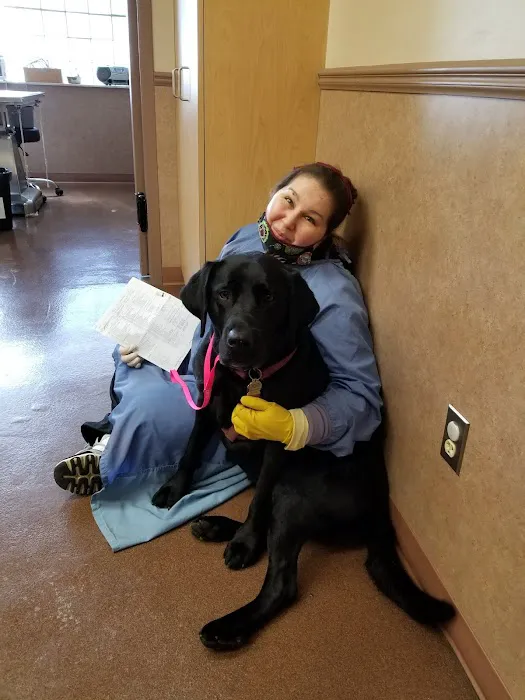 Parkway Veterinary Clinic 12