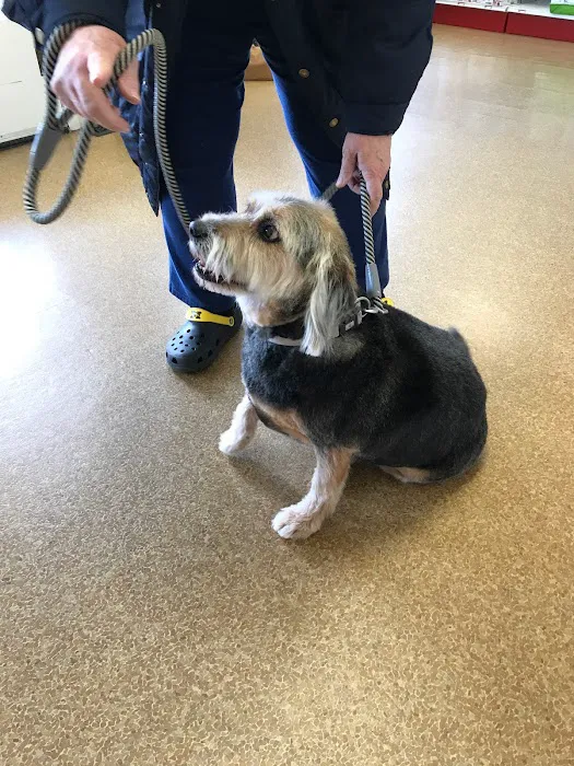 Wright City Veterinary Clinic 1