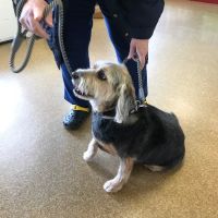 Wright City Veterinary Clinic ico