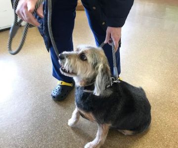 Wright City Veterinary Clinic