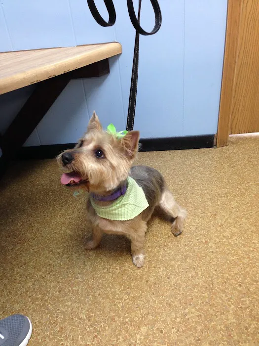 Wright City Veterinary Clinic 4
