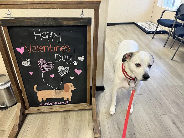 Wright City Veterinary Clinic 3