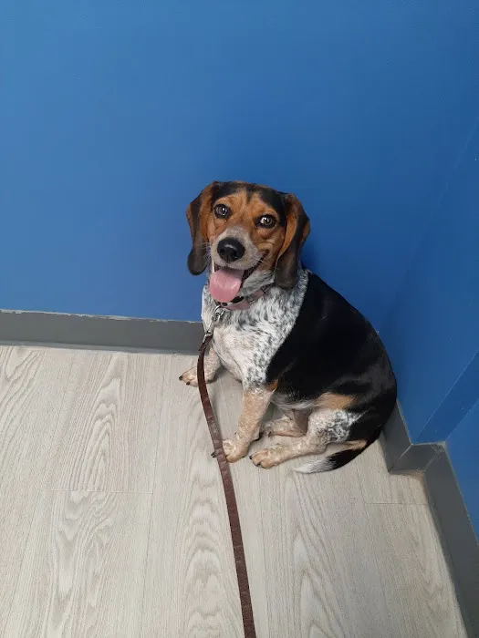 Falls Vet Care 5