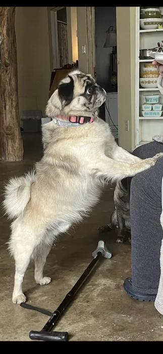 Falls Vet Care 9