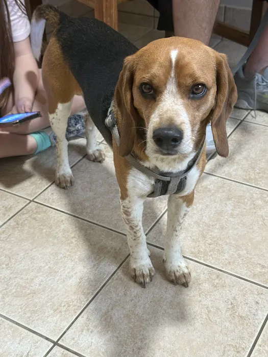 Lincoln County Animal Hospital 5