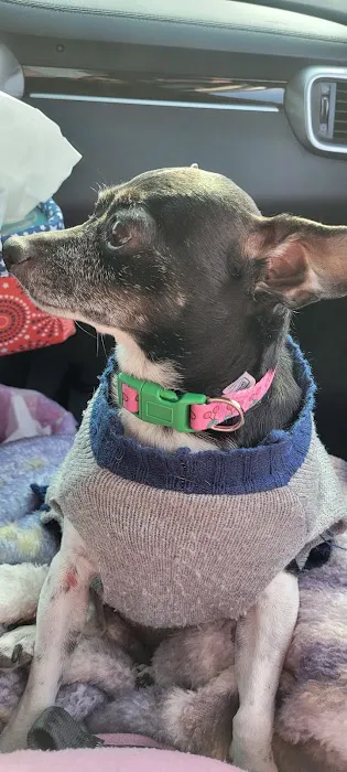 Lincoln County Animal Hospital 1