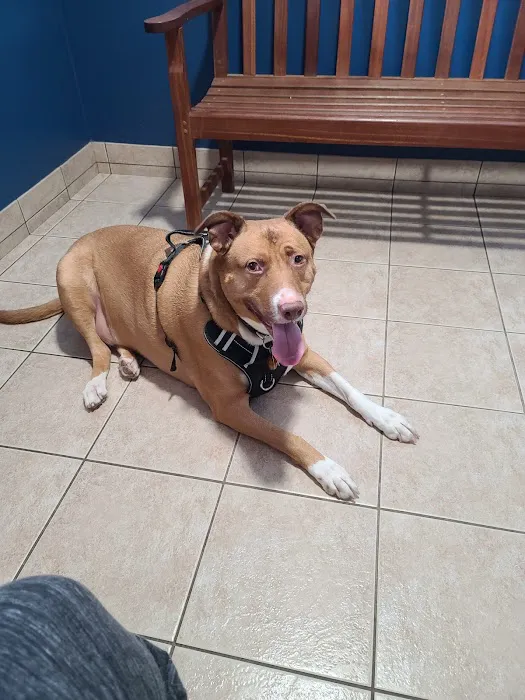 Lincoln County Animal Hospital 9