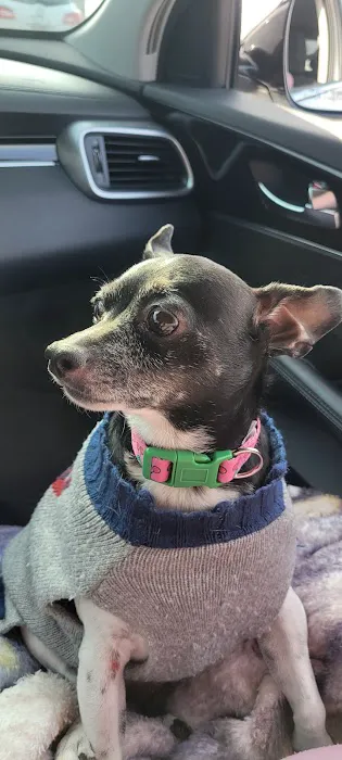 Lincoln County Animal Hospital 2
