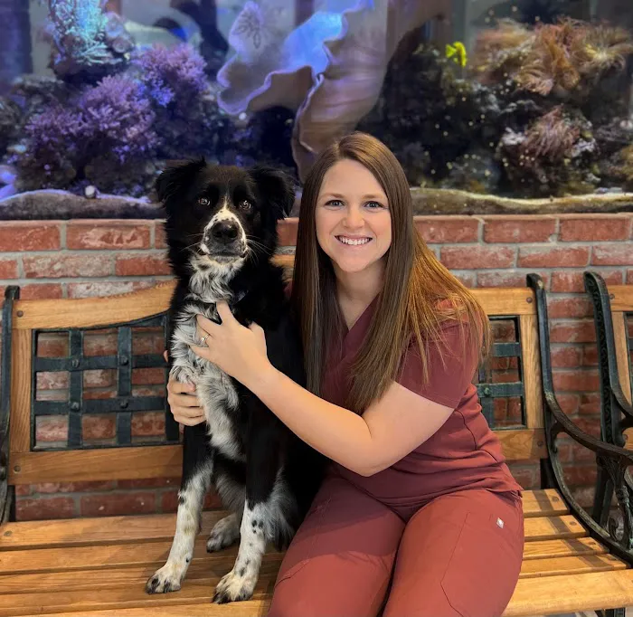 Animal Medical Center of Troy 4