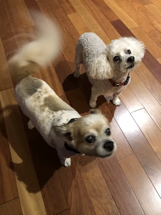 Animal Medical Center of Troy 3
