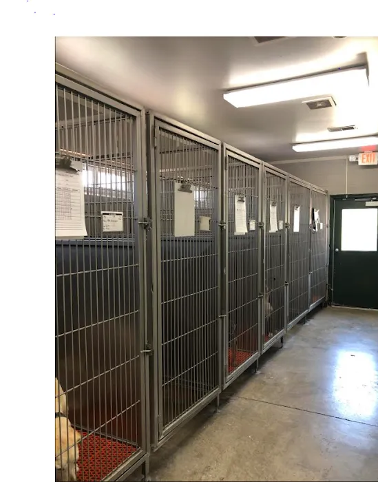 Animal Medical Center of Troy 10