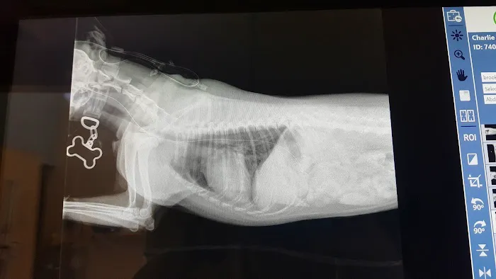 Brookside Animal Hospital 12