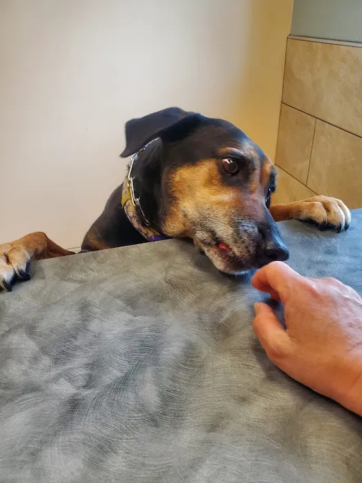 Brookside Animal Hospital 12