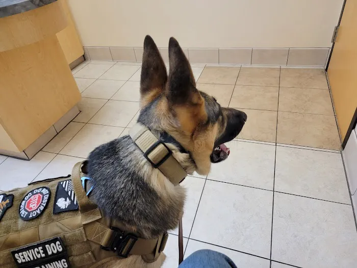 Brookside Animal Hospital 12