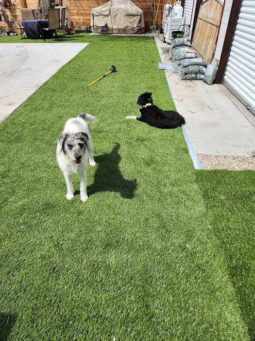 Brookside Animal Hospital 12