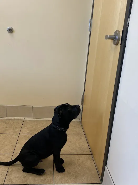 Brookside Animal Hospital 12