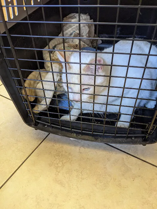 Brookside Animal Hospital 12