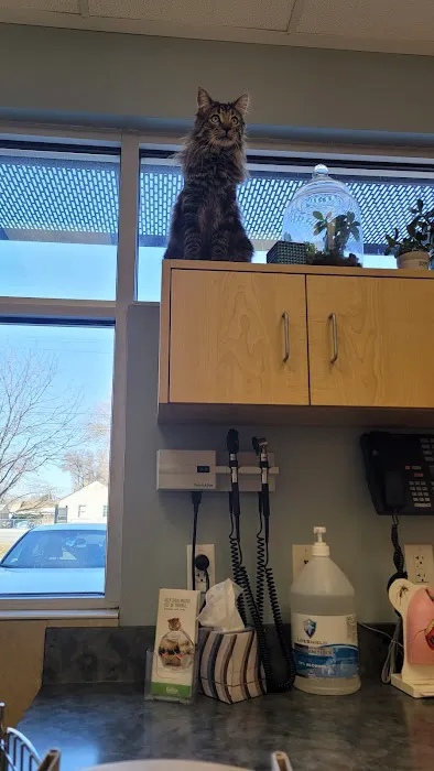 Brookside Animal Hospital 12