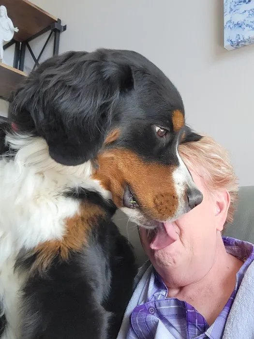 Door 2 Door Veterinary Care 3