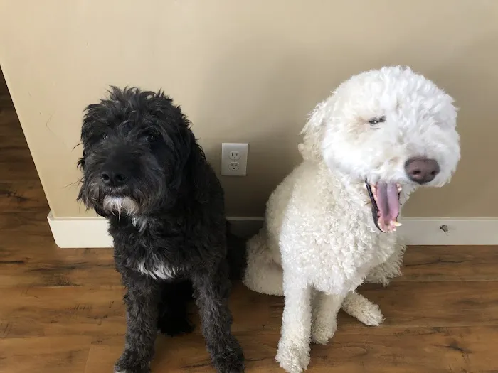 Ogden Animal Hospital 4