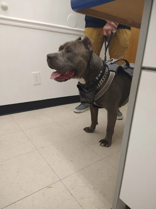 Ogden Animal Hospital 7