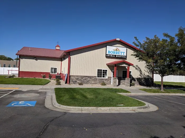 Borrett Animal Hospital 12