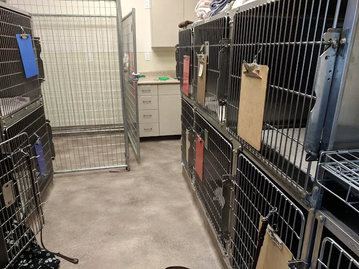 Borrett Animal Hospital 12