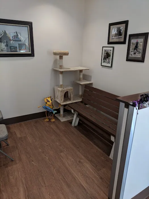Borrett Animal Hospital 12