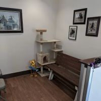 Borrett Animal Hospital ico