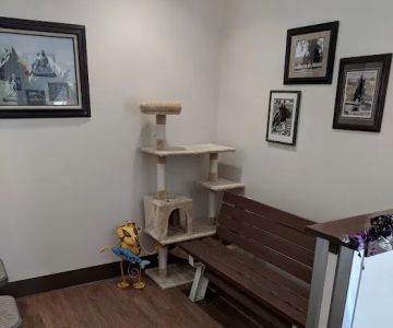 Borrett Animal Hospital