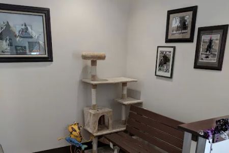 Borrett Animal Hospital