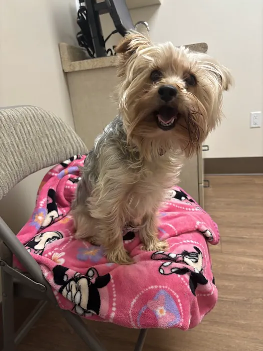 Skyline Animal Hospital 12