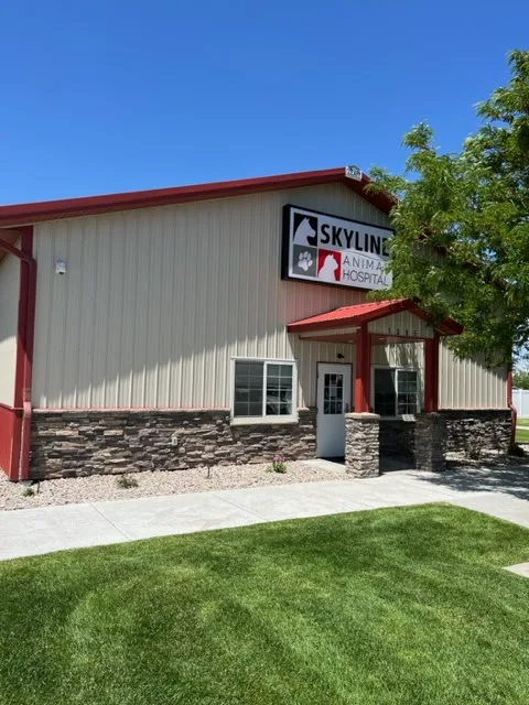 Skyline Animal Hospital 12
