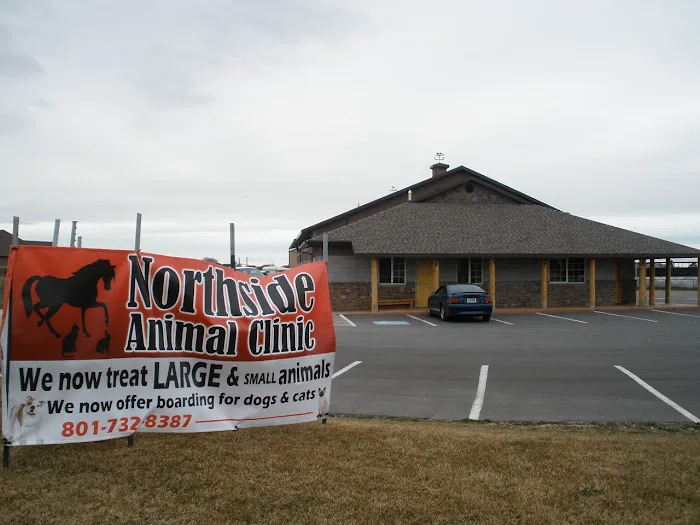 Northside Animal Clinic 6