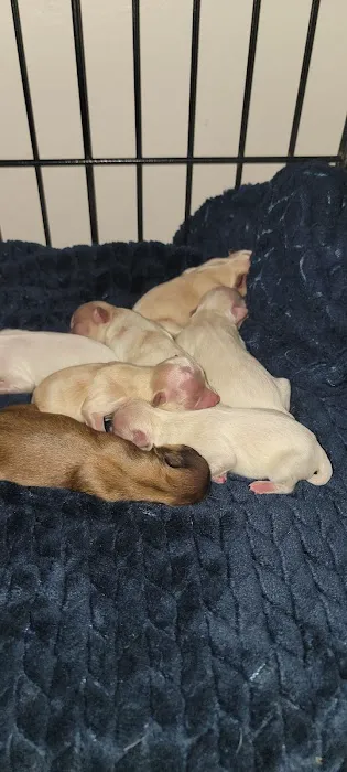 Northside Animal Clinic 3