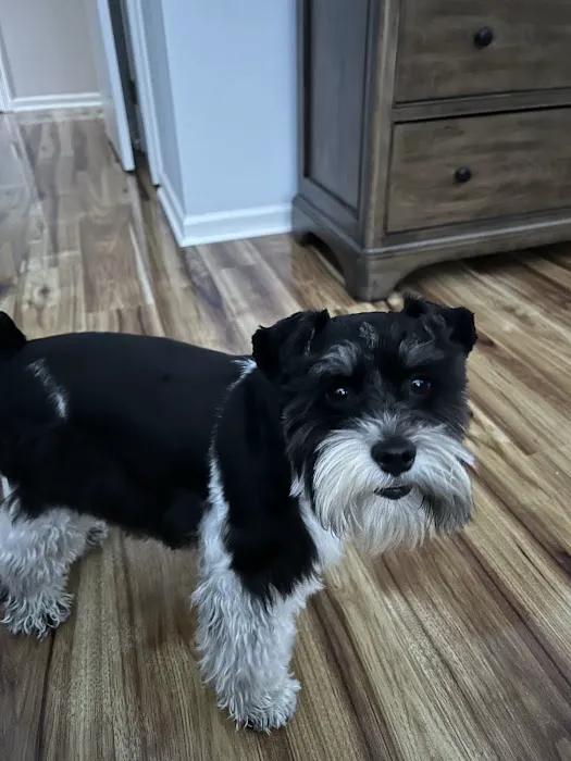 Amelia Island Animal Hospital 3