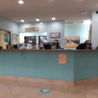 Fernandina Beach Animal Clinic: Rew Kelly M DVM ico