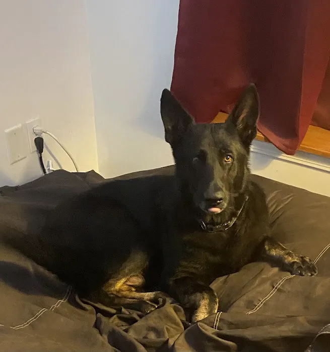 Fernandina Beach Animal Clinic 8