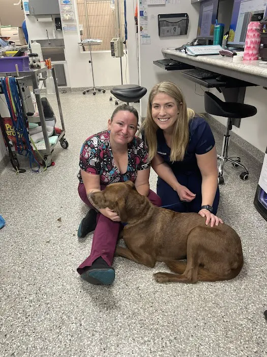 Animal Medical Clinic 3