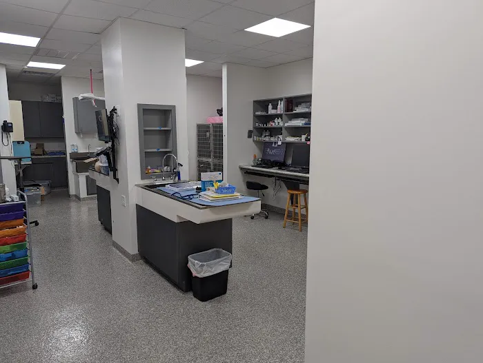 Animal Medical Clinic 9