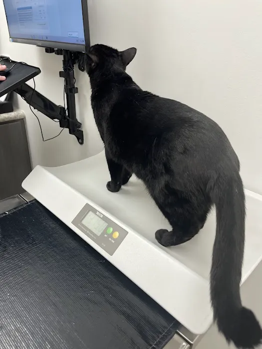Animal Medical Clinic 2