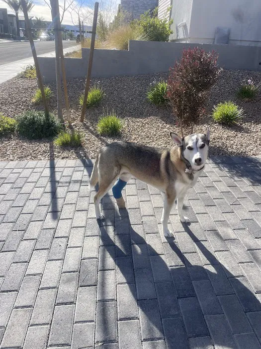 VCA Veterinary Specialists of Northern Colorado 10