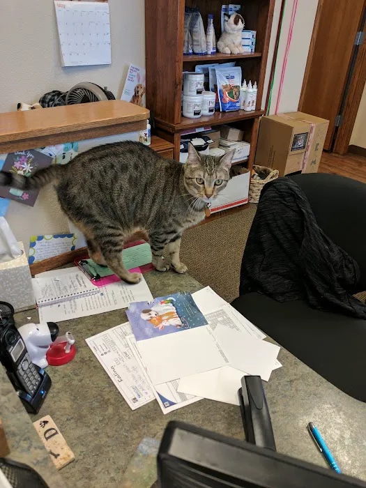 Edwards Veterinary Care 8