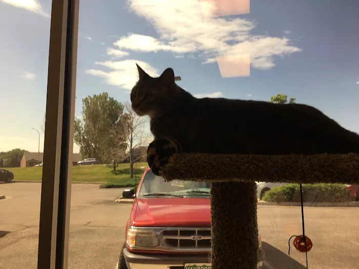 Edwards Veterinary Care 1