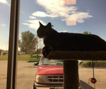 Edwards Veterinary Care