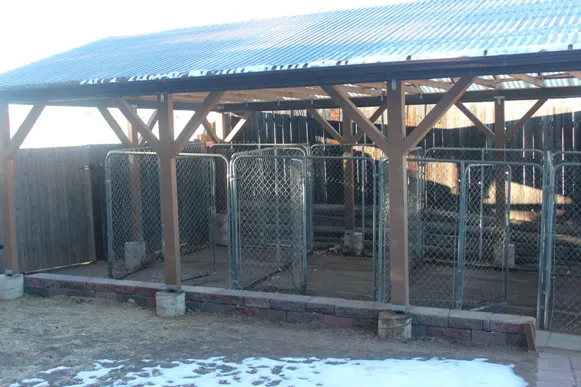 Alpine Veterinary Hospital 6