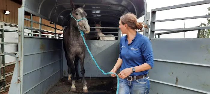Countryside Large Animal Vet 1